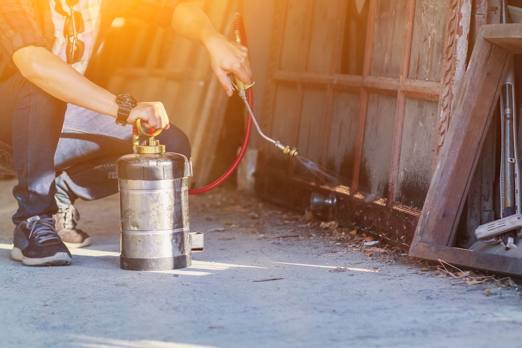 Pest Control services by American Exterminating in West Monroe, LA.