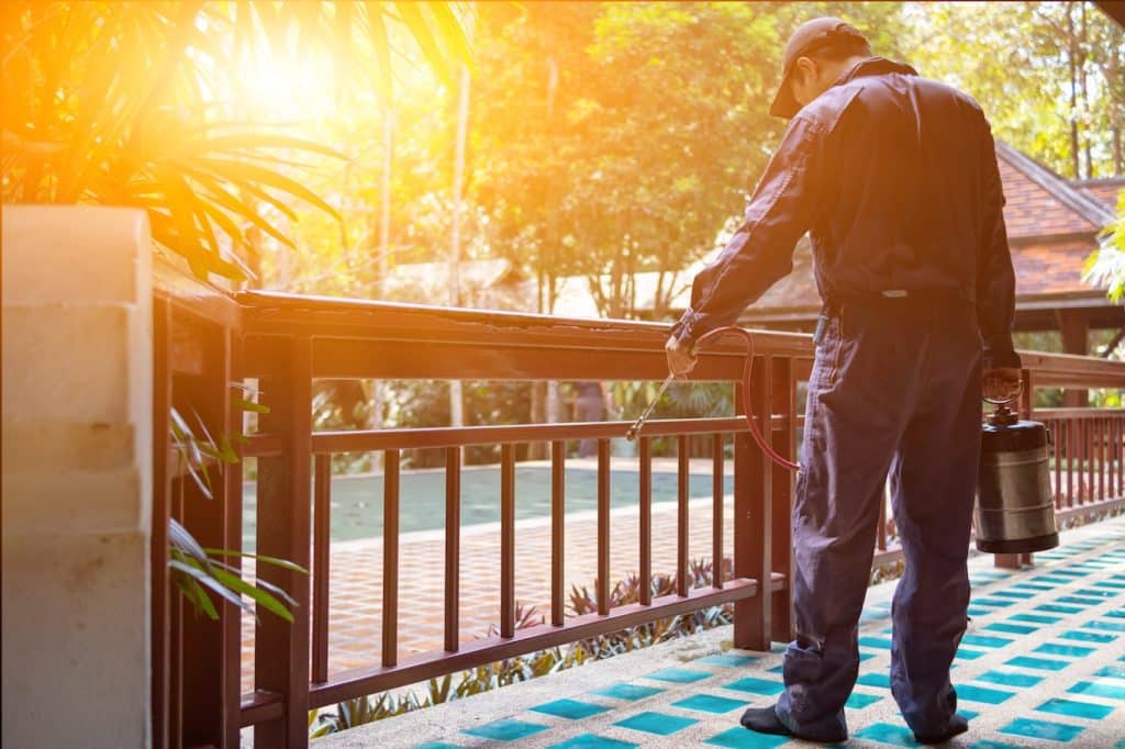 Pest Control services by American Exterminating in West Monroe, LA.